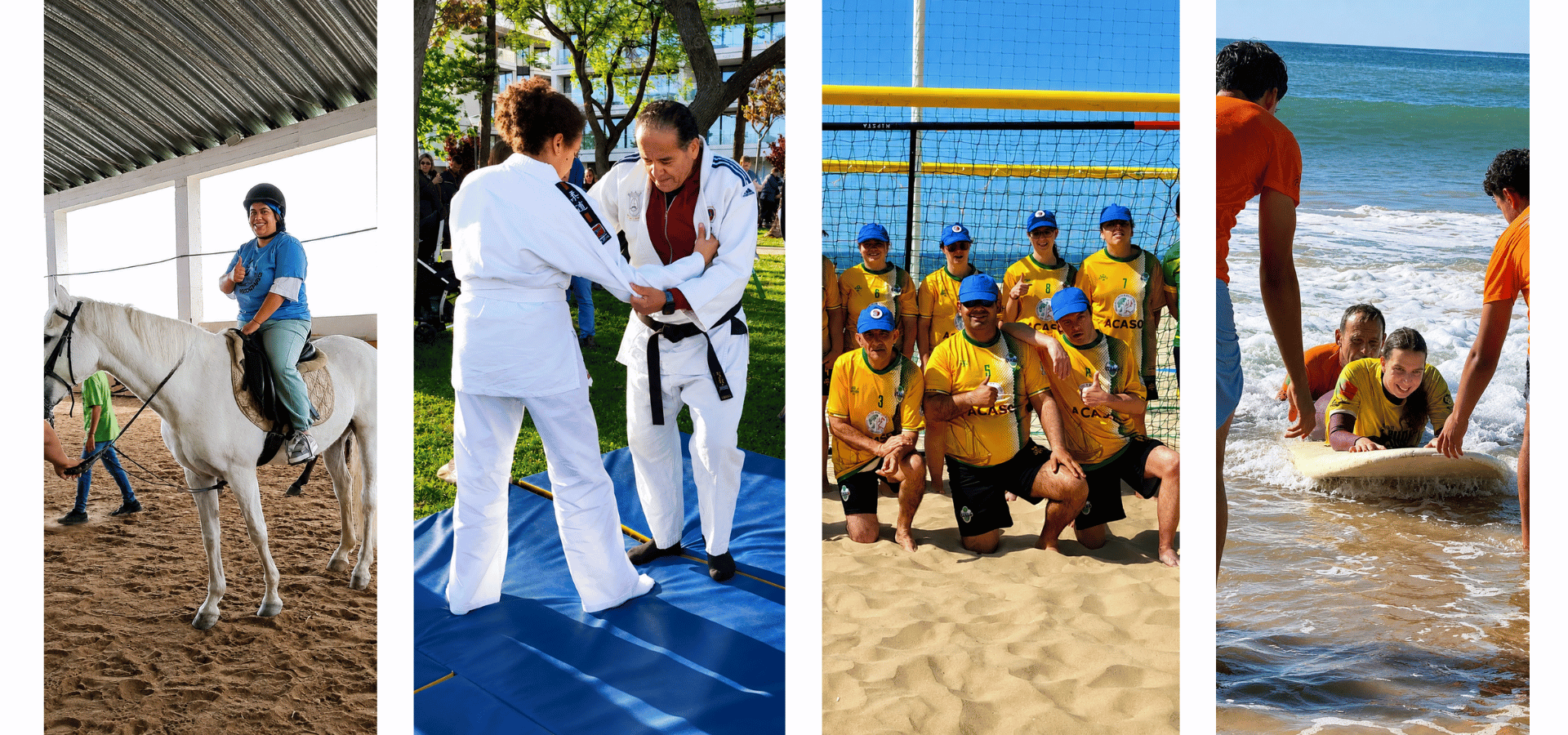 Centro de Atividades e Capacitação para a Inclusão