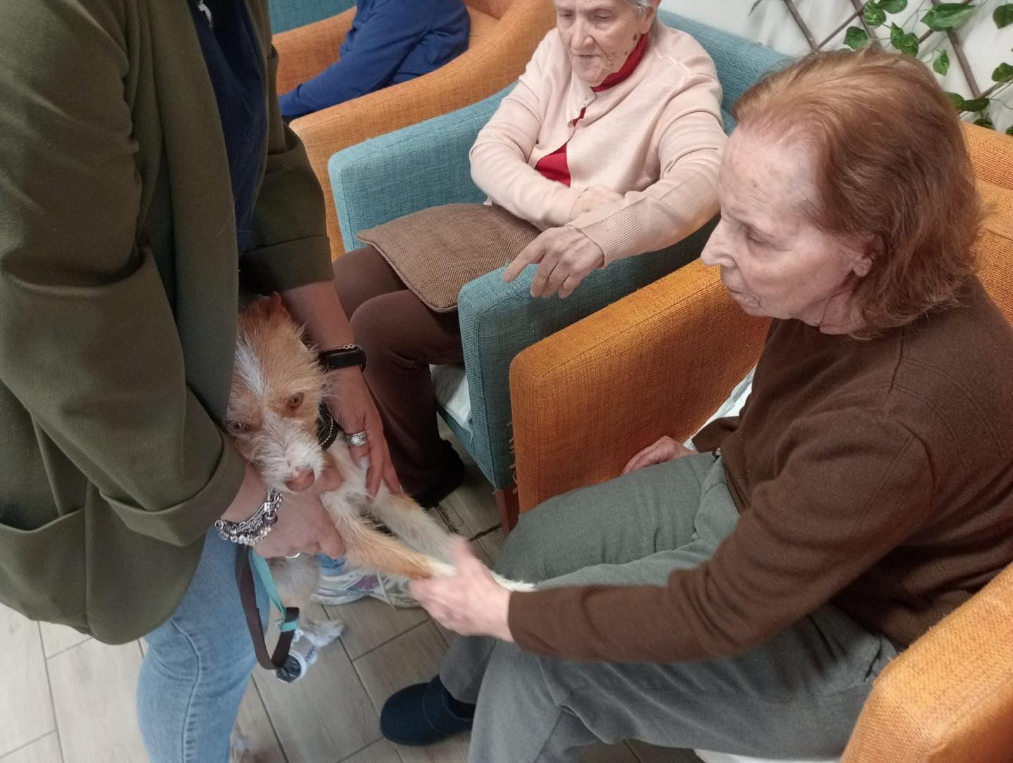 Terapia com animais: A visita do Maxmel