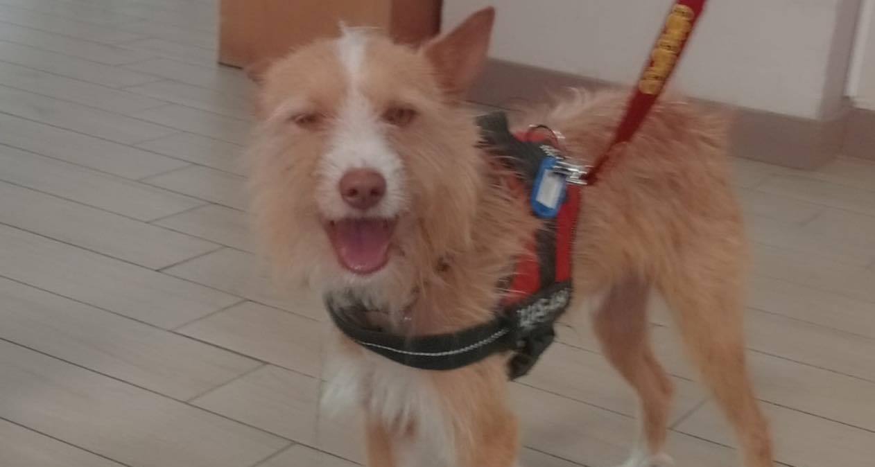 O regresso do Max à ERPI  