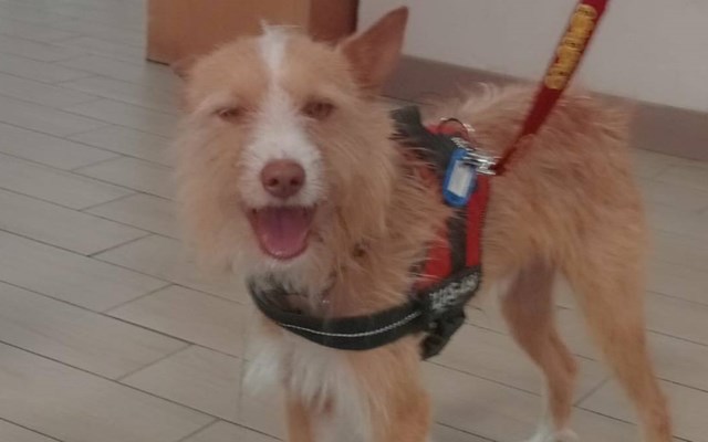 O regresso do Max à ERPI  
