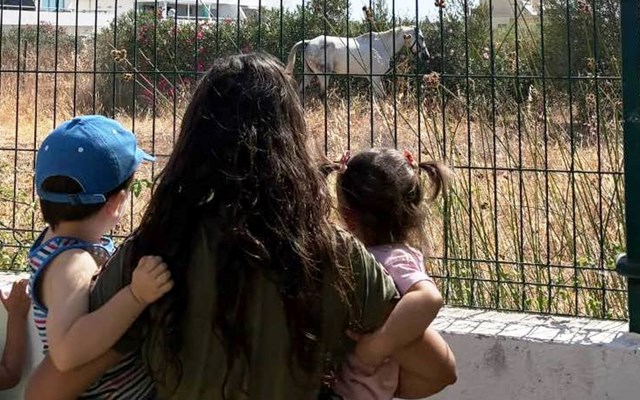 Creche e natureza no CEDI