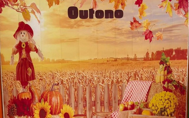 O outono chegou ao CEDI Porta Mágica!  