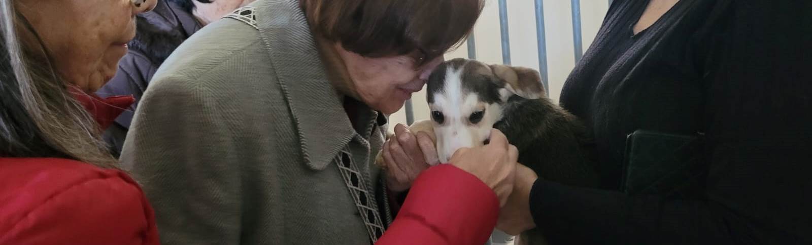 Visita ao CROA – Centro de Recolha Oficial de Animais de Companhia de Olhão