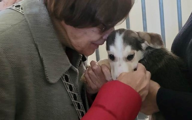 Visita ao CROA – Centro de Recolha Oficial de Animais de Companhia de Olhão