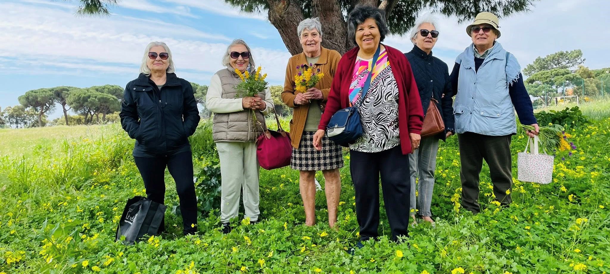 Manhãs de primavera, sentem se na alegria de conviver.