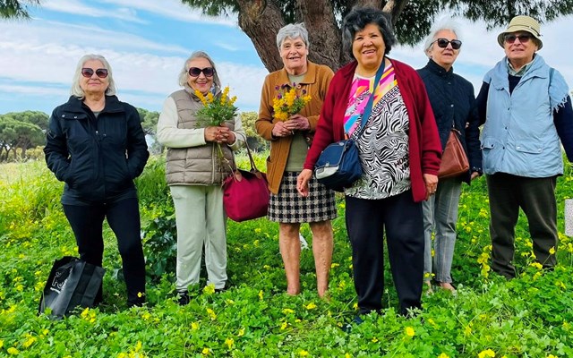 Manhãs de primavera, sentem se na alegria de conviver.