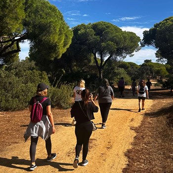 Caminhada com Colaboradores