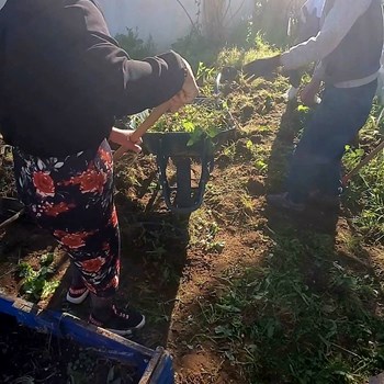 Trabalho na nossa Horta Comunitária!  