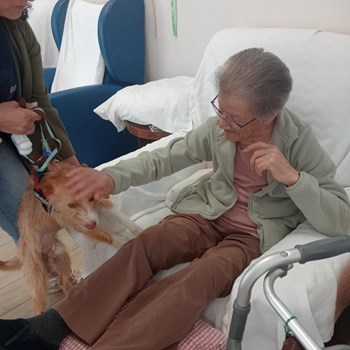 Terapia com animais: A visita do Maxmel  