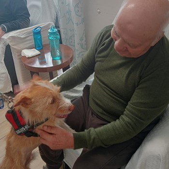 Terapia com animais: A visita do Maxmel  