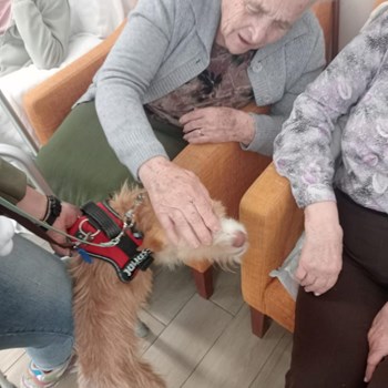 Terapia com animais: A visita do Maxmel  