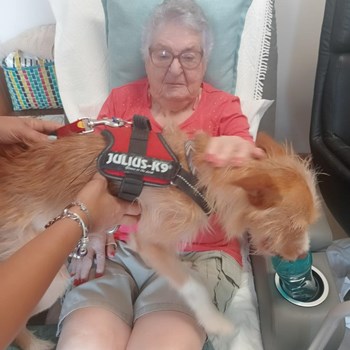 O regresso do Max à ERPI  