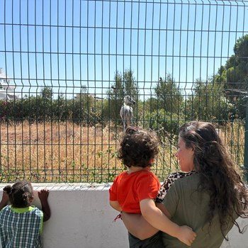 Creche e natureza no CEDI