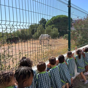 Creche e natureza no CEDI