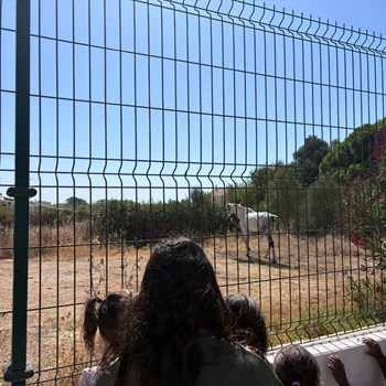 Creche e natureza no CEDI