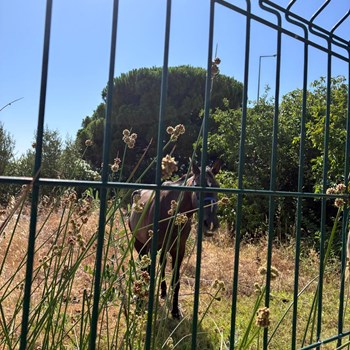 Creche e natureza no CEDI