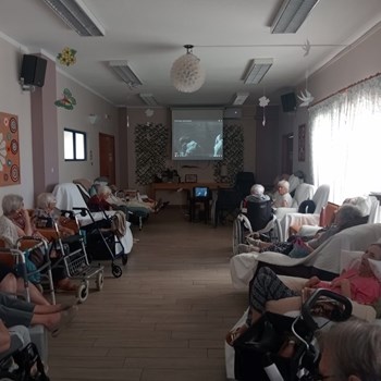 Dia de Cinema 