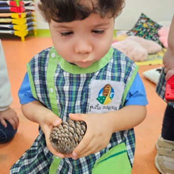 O outono chegou ao CEDI Porta Mágica!  