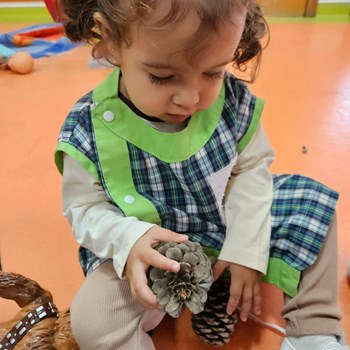 O outono chegou ao CEDI Porta Mágica!  