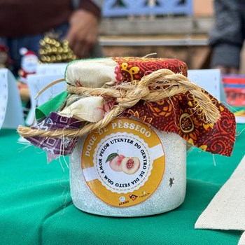 Utentes Brilham na República 14