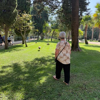 O mês de novembro na Unidade Sócio Ocupacional 