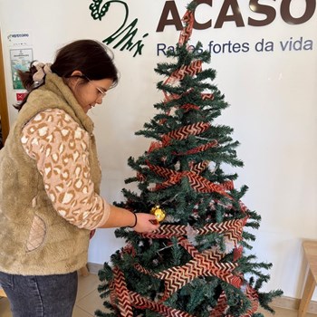 Mais festas de Natal 2025 