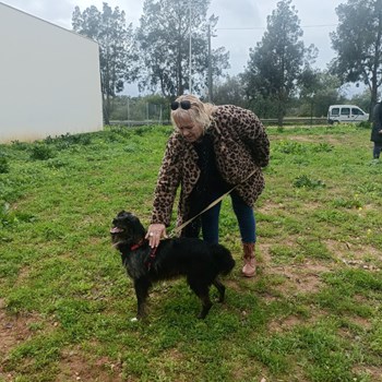 Intervenção em saúde mental no mês de janeiro