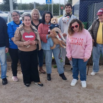 Momentos que Constroem Autonomia