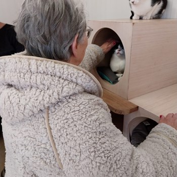 Visita ao CROA – Centro de Recolha Oficial de Animais de Companhia de Olhão