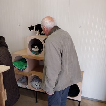 Visita ao CROA – Centro de Recolha Oficial de Animais de Companhia de Olhão