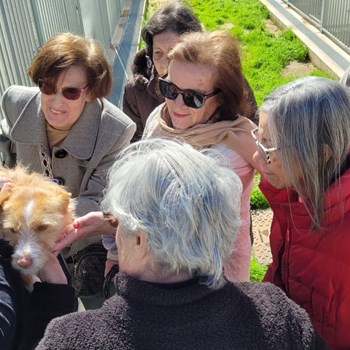 Visita ao CROA – Centro de Recolha Oficial de Animais de Companhia de Olhão
