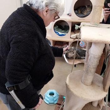 Visita ao CROA – Centro de Recolha Oficial de Animais de Companhia de Olhão