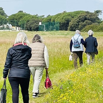 Manhãs de primavera, sentem se na alegria de conviver.