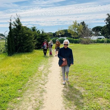 Manhãs de primavera, sentem se na alegria de conviver.