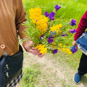 Manhãs de primavera, sentem se na alegria de conviver.