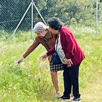 Manhãs de primavera, sentem se na alegria de conviver.