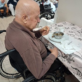 Caracóis, Conversas e Boa Disposição 