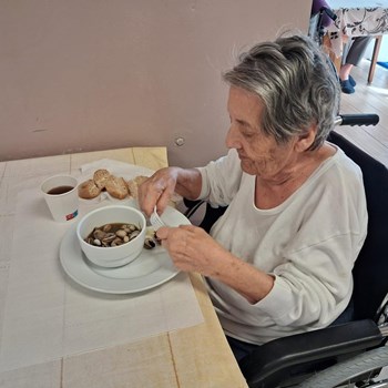 Caracóis, Conversas e Boa Disposição 