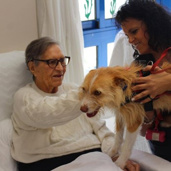 Max: O Novo Terapeuta da Boa Disposição