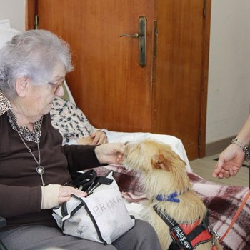 Max: O Novo Terapeuta da Boa Disposição