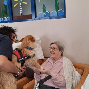 Max: O Novo Terapeuta da Boa Disposição