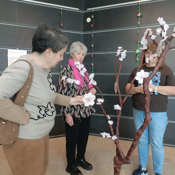 Atividades durante o mês de maio 