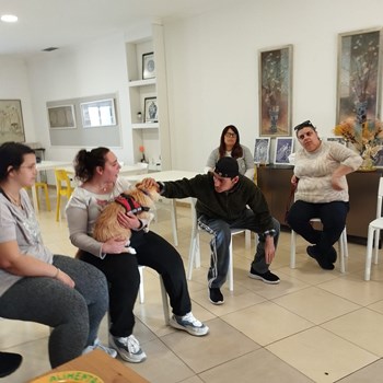 Atividades durante o mês de maio 
